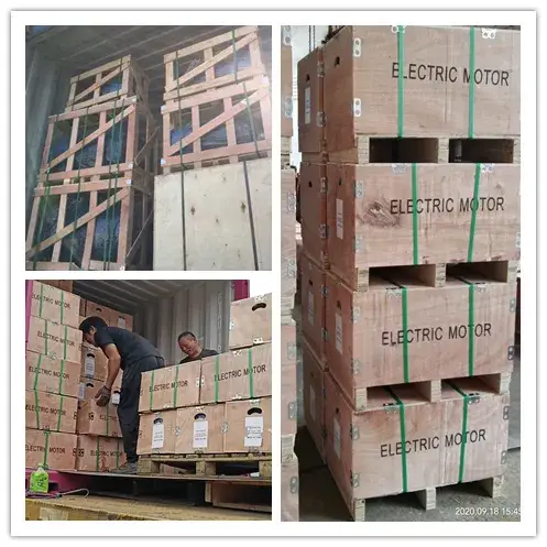 Động cơ điện một pha vỏ gang hoặc nhôm với bộ điều khiển tụ điện kép Yl hình ảnh 18-description