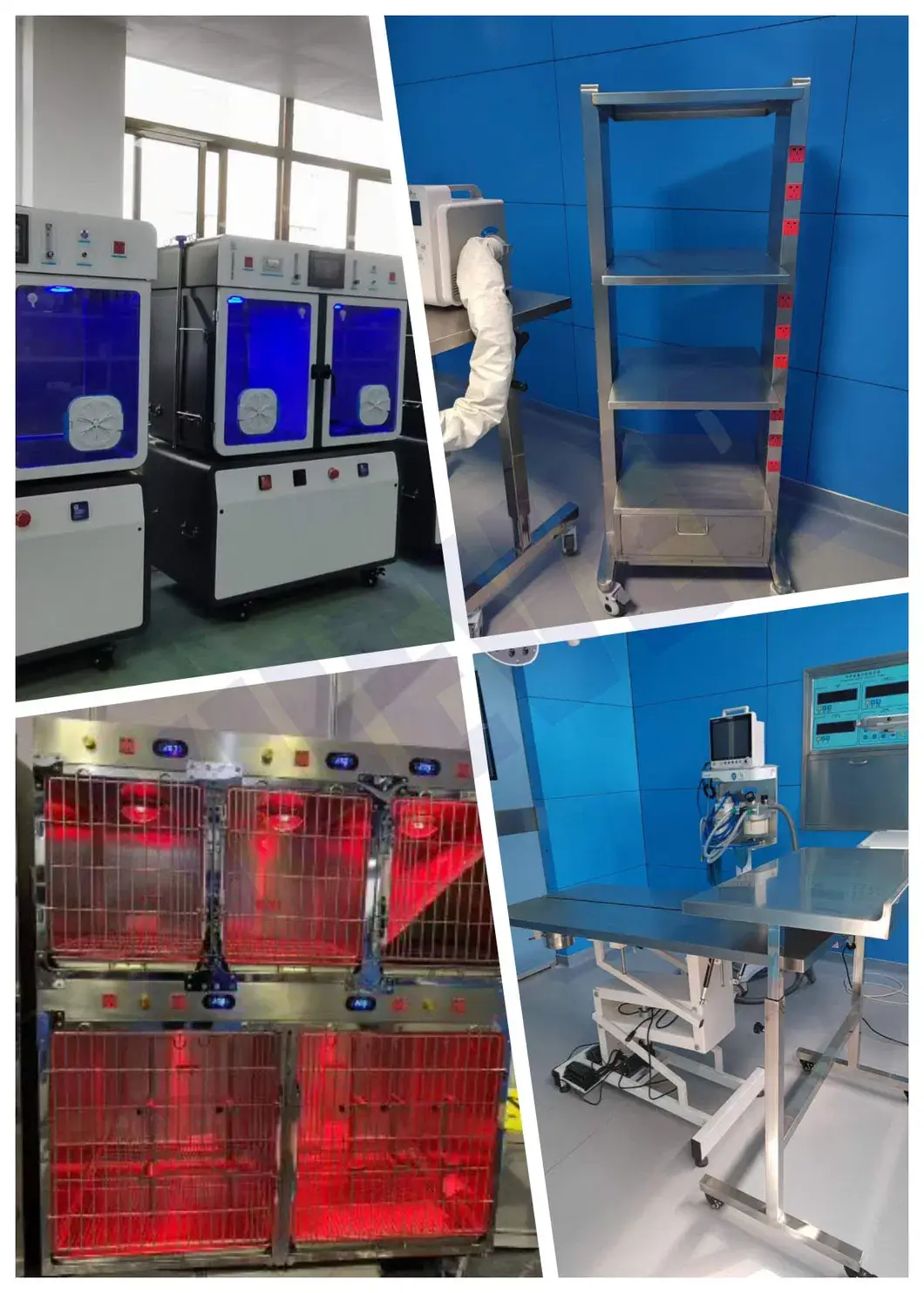 Máy giặt thú cưng Yuever: Dành riêng cho việc chăm sóc sức khỏe động vật, bồn tắm tiện lợi hình ảnh 35-description