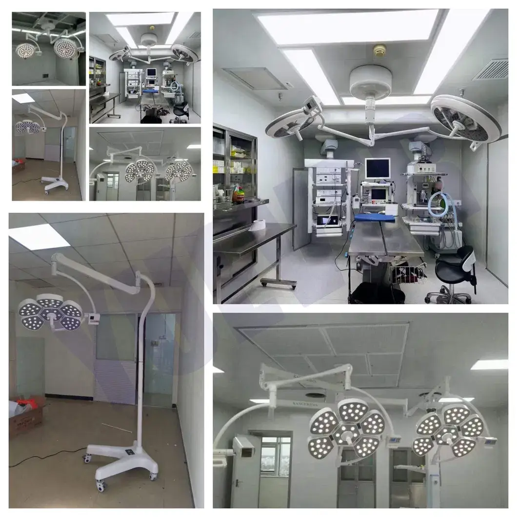 Máy giặt thú cưng Yuever: Dành riêng cho việc chăm sóc sức khỏe động vật, bồn tắm tiện lợi hình ảnh 27-description