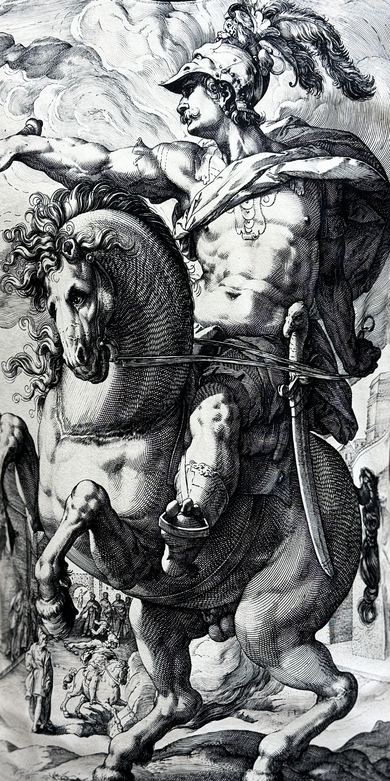 Áo phông T-shirt Dolce Gabbana DG họa tiết tướng nam cưỡi ngựa 3D Like Auth on web CD LK