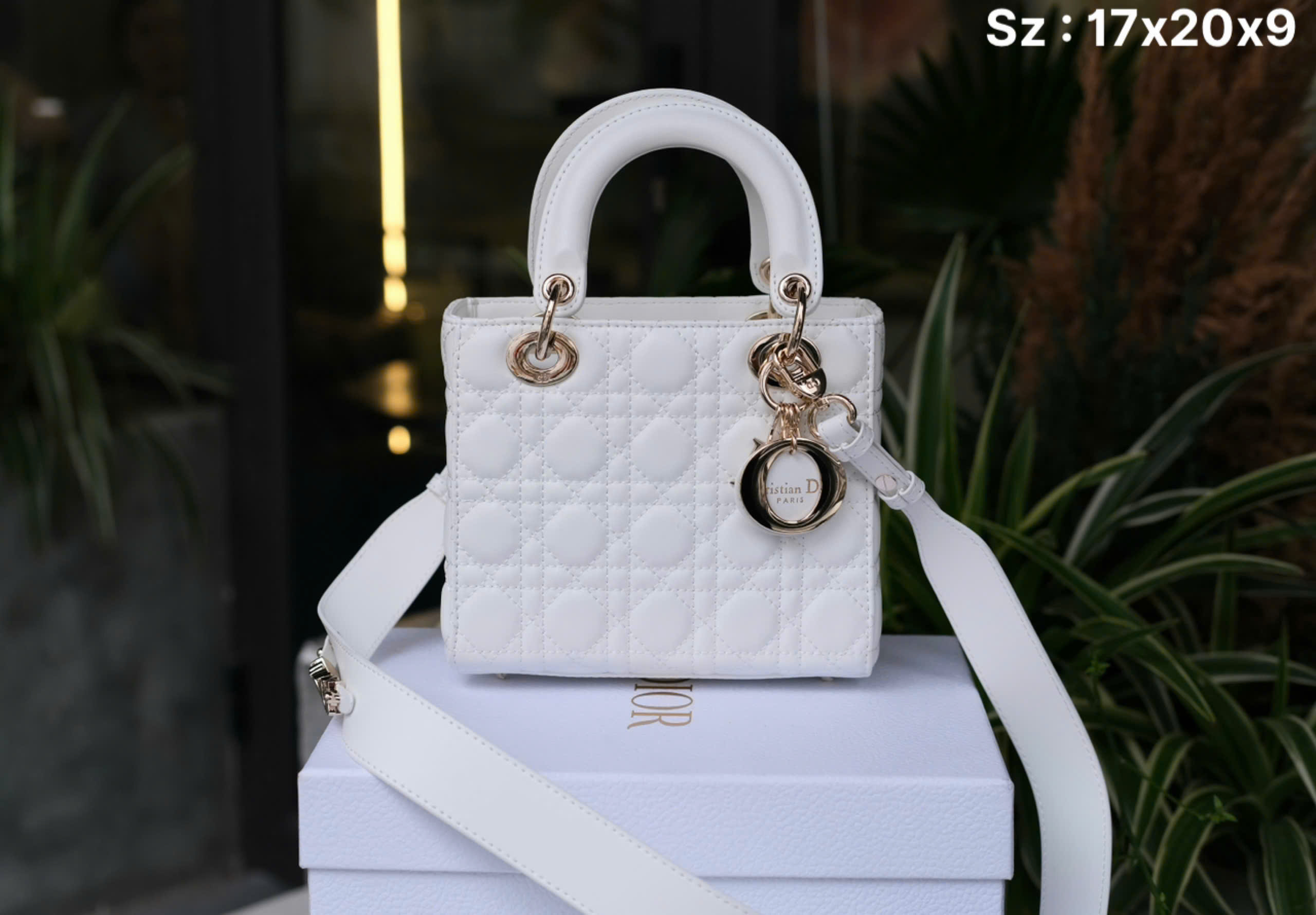 Túi nữ đeo chéo, cầm tay Dior CD Trắng trơn thêu ô size 17x20x9cm Like Auth on web fullbox bill thẻ DDT