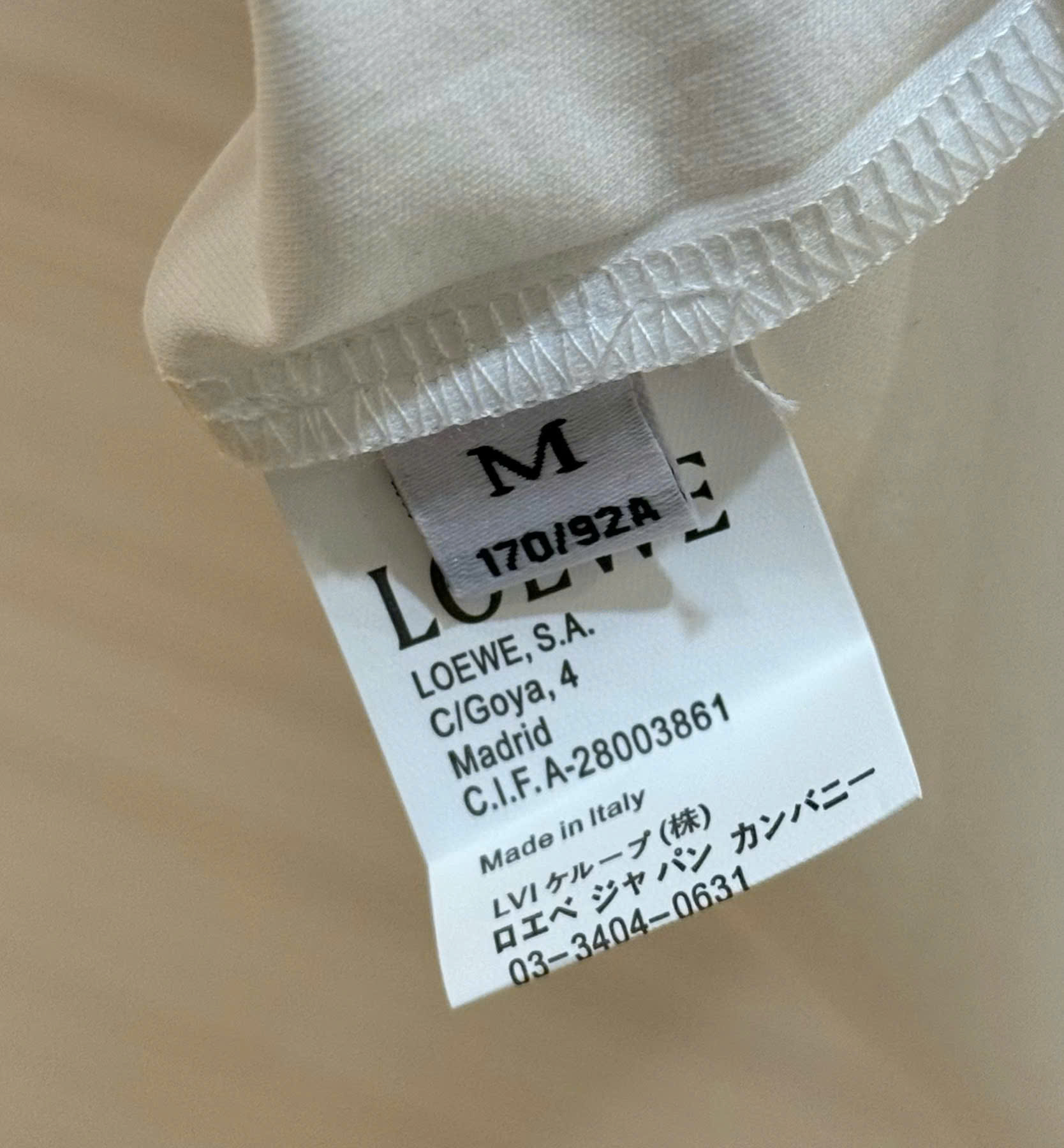 Áo phông T-shirt Loewe logo cây dừa thêu ngực Like Auth on web DDT