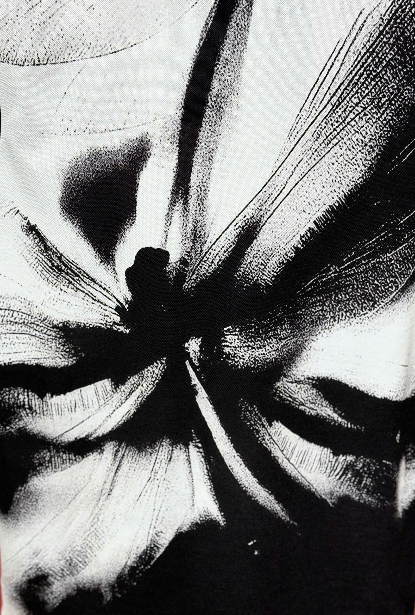 Áo polo hình Mcqueen MCQ họa tiết chuồn chuồn Like AUth 44-50 CD