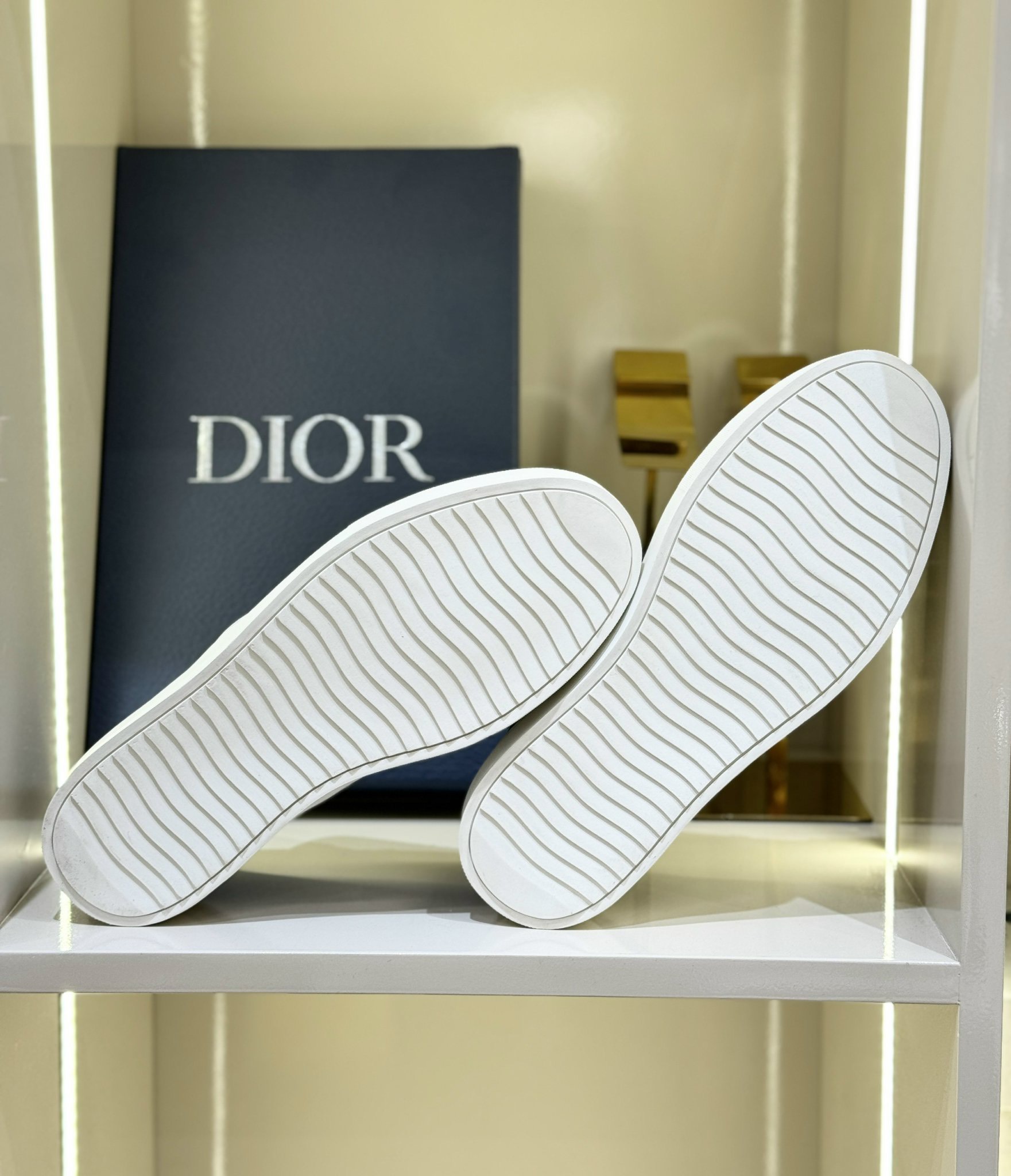 Giày Slipon Dior CD Đen họa tiết Ong thêu nổi Like Auth Fullbox phụ kiện CD