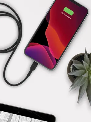 Belkin Boost Charge Lightning to USB Type-C Cable 3.3 Feet (1 Meters) Black overview 1