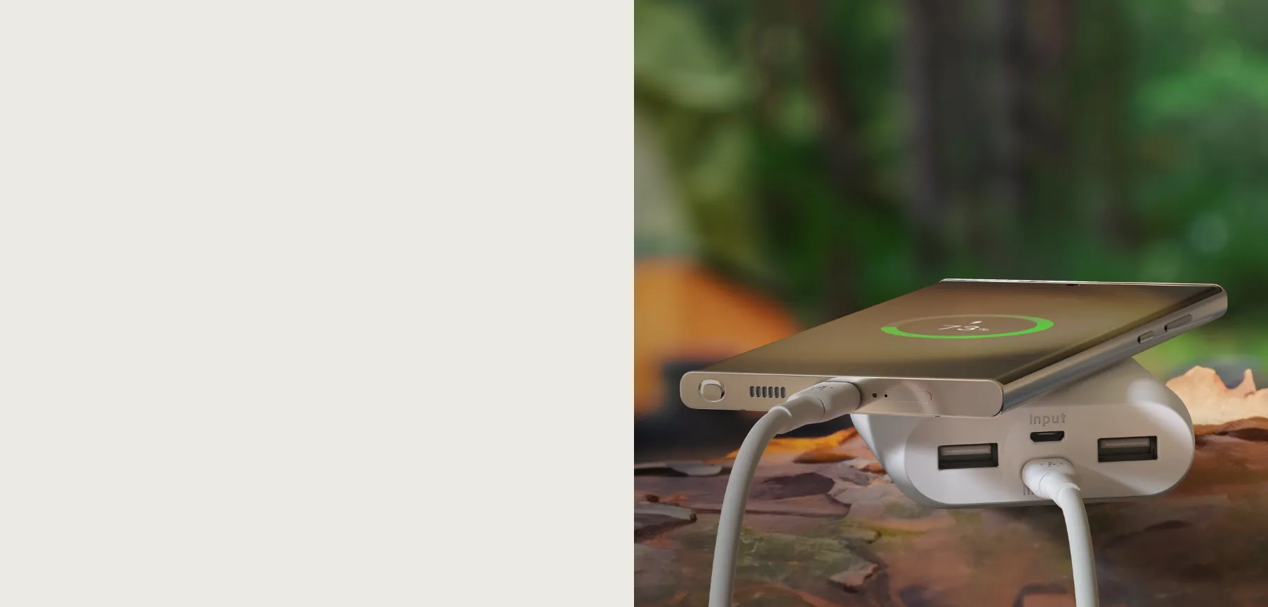 Belkin Boost Charge USB Type-C Cable (3.3', White) overview 2