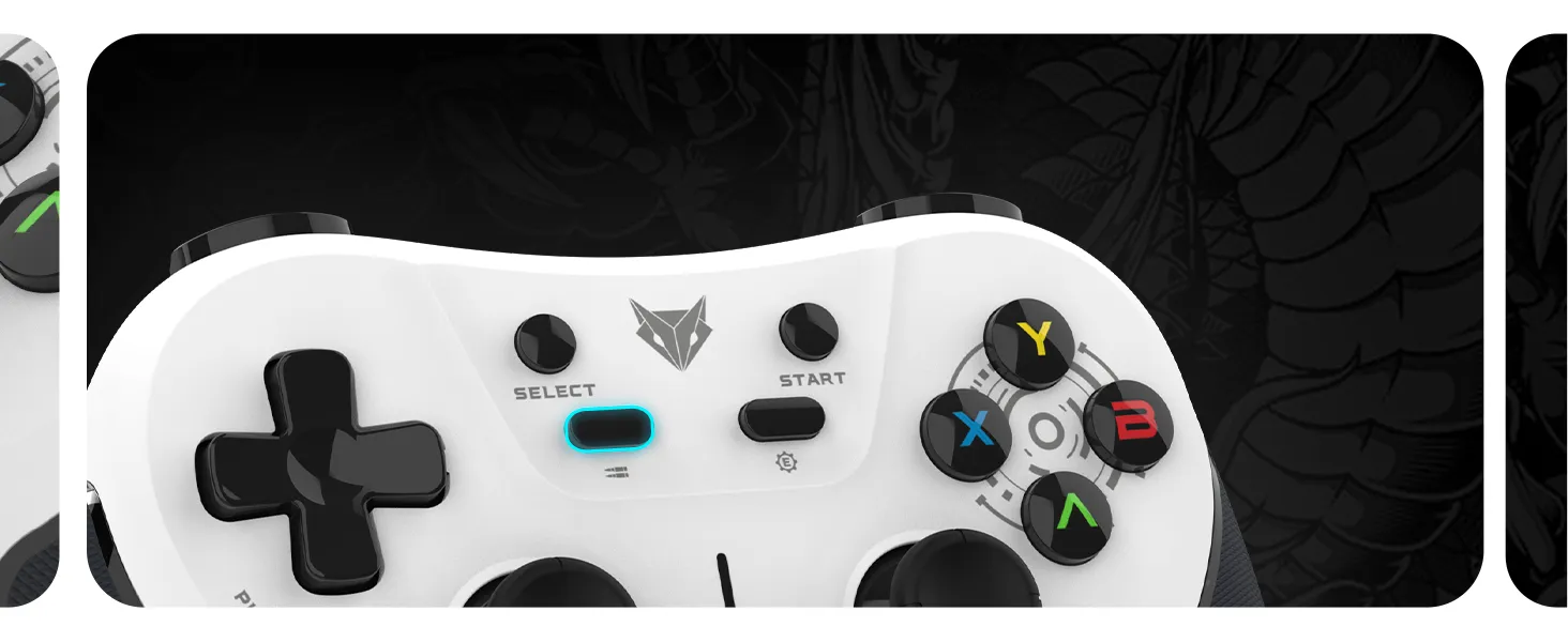 EvoFox One S Universal 3-Mode Wireless Gaming Controller - (White) overview 6