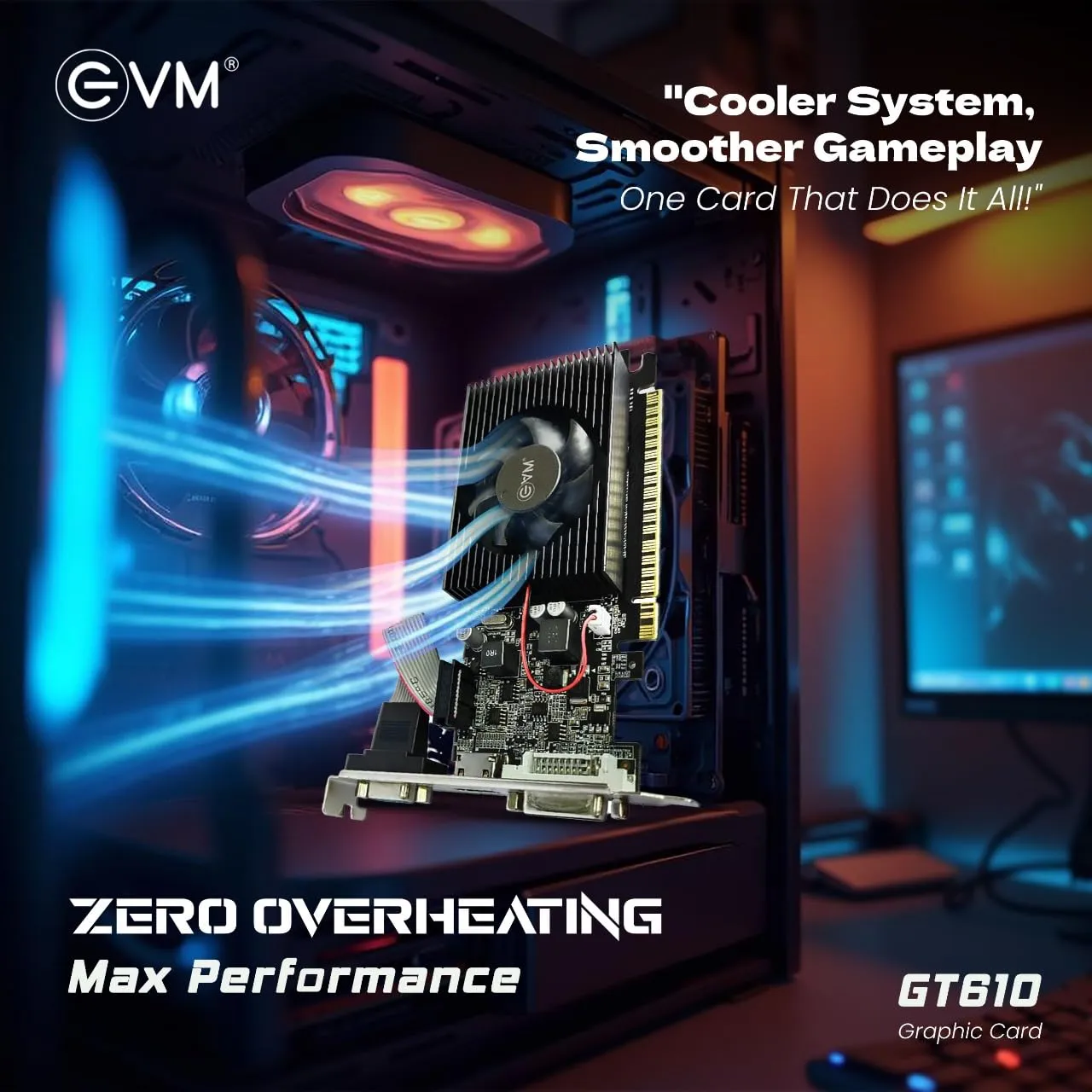 EVM Graphic Card GT 610 overview 2
