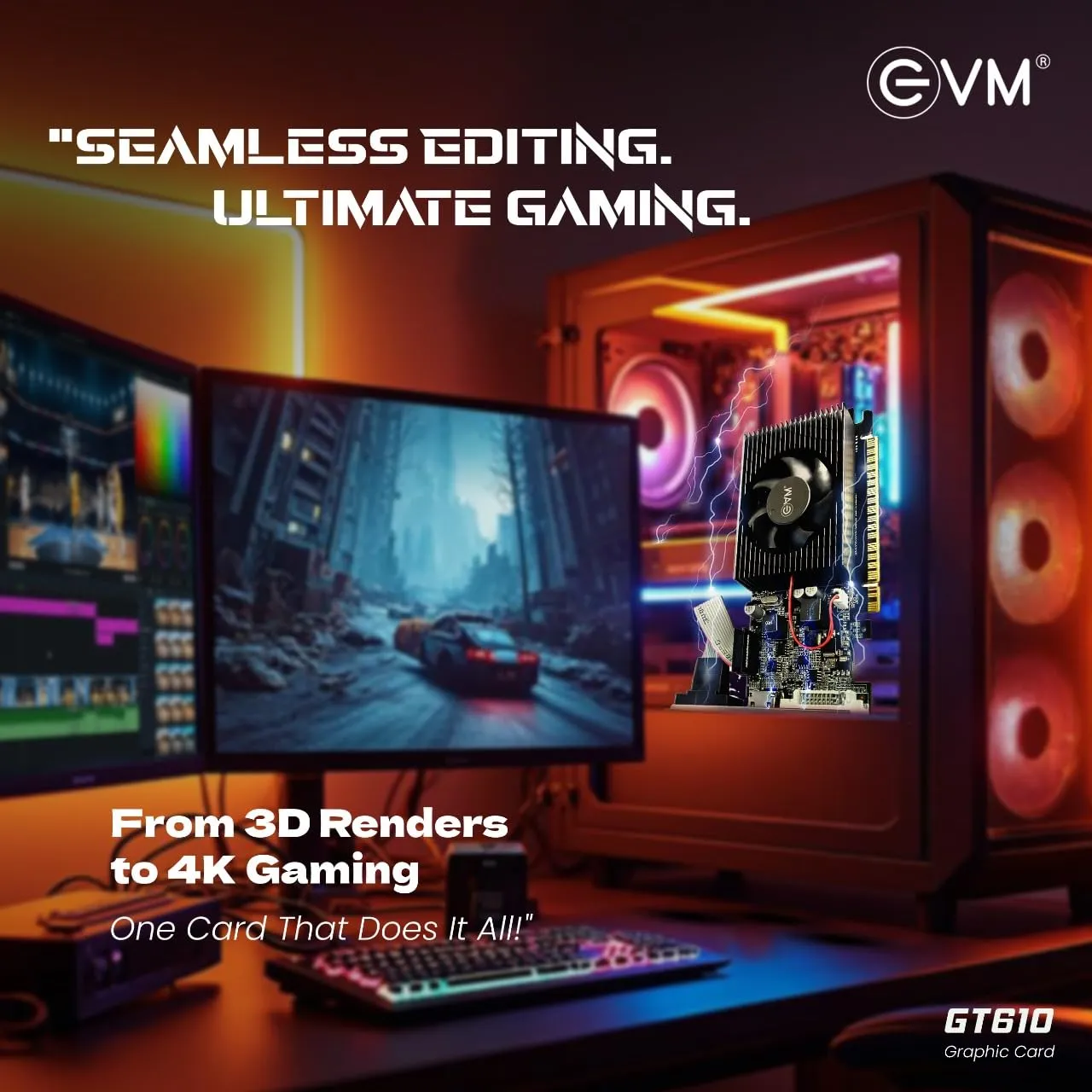 EVM Graphic Card GT 610 overview 3