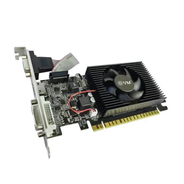 EVM Graphic Card GT 610