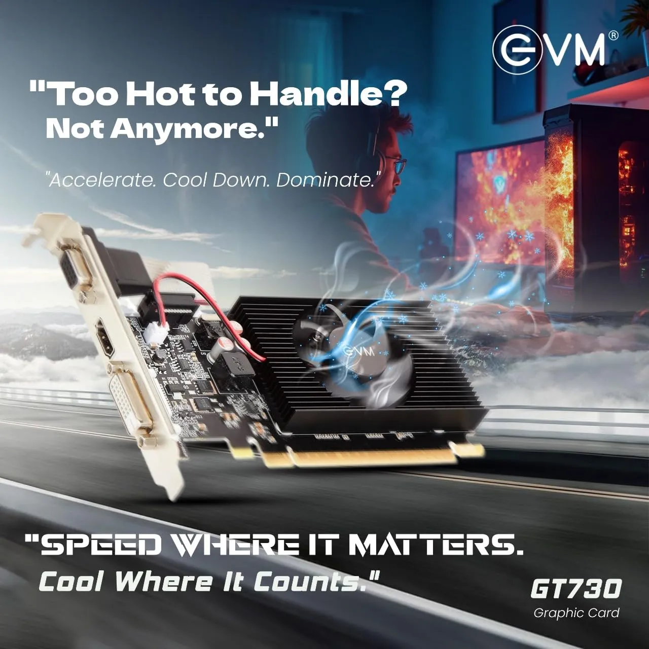 EVM Graphic Card GT 730 4GB overview 3
