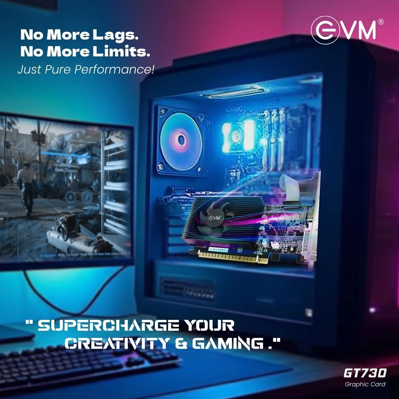 EVM Graphic Card GT 730 4GB overview 4