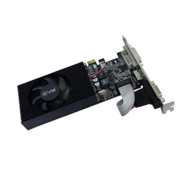 EVM Graphic Card GT 730 4GB