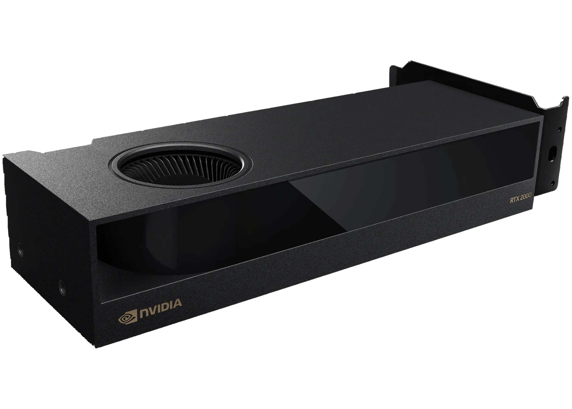 PNY NVIDIA RTX 2000 Ada Generation Graphics Card overview 1