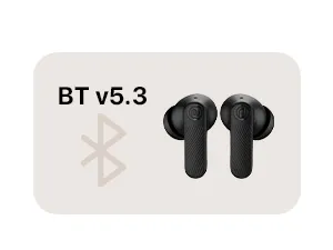 Noise Buds X2 in Ear Truly Wireless Earbuds (Pebble Grey) overview 12