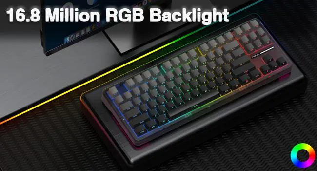 AULA F87 Wireless Side Engraved Keycaps Mechanical Keyboard | Tri-Mode BT5.0/2.4GHz/USB-C Gasket Hot Swappable | Pre-lubed Switches, 75% TKL RGB Gaming Keyboard (Gradient Gray, Space Crystal Switch) overview 6
