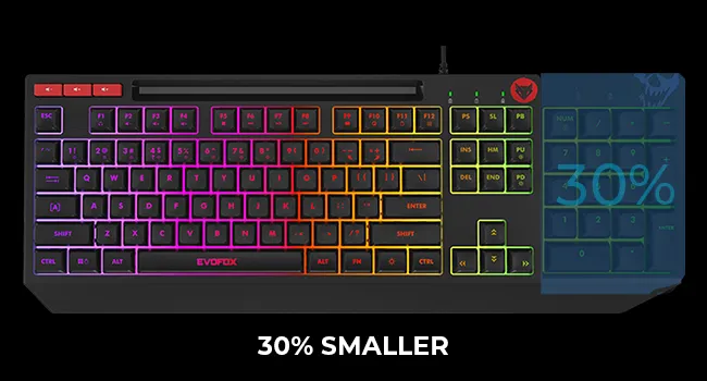Amkette Evofox Deathray Tkl Rgb Gaming Keyboard overview 2