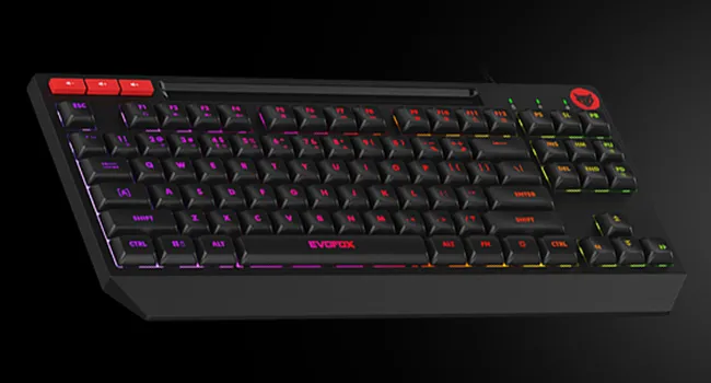 Amkette Evofox Deathray Tkl Rgb Gaming Keyboard overview 6