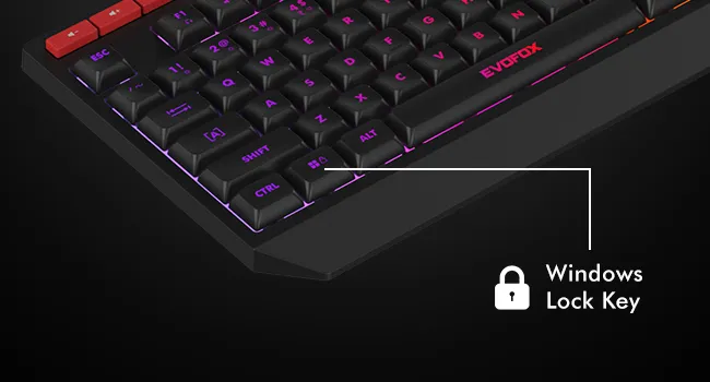Amkette Evofox Deathray Tkl Rgb Gaming Keyboard overview 7