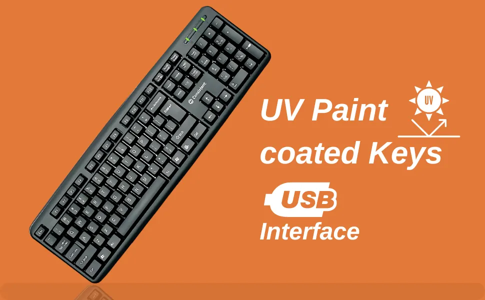 Consistent Classic Silver Wired Keyboard (SK101) for Windows, USB Plug-and-Play, Full-Size, Spill-Resistant, Curved Space Bar(Black) overview 5