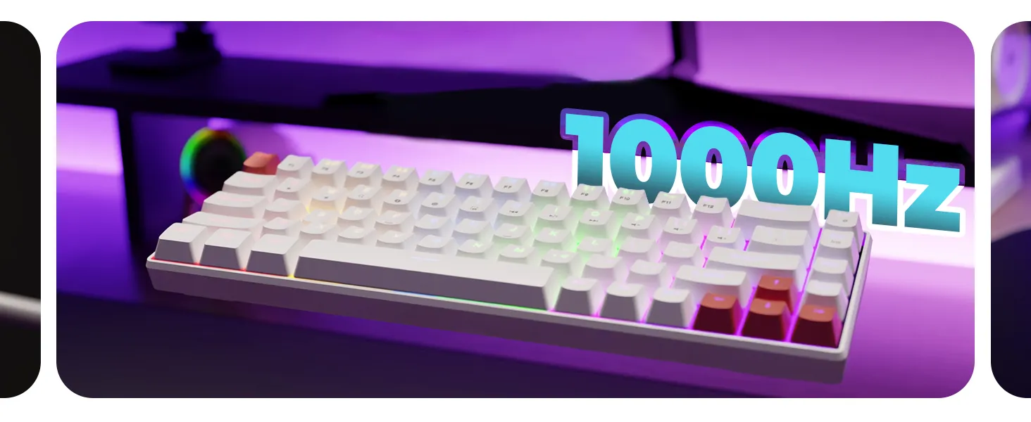 EvoFox Katana S Mini Wireless Mechanical Keyboard Red Switch - (Black) overview 4