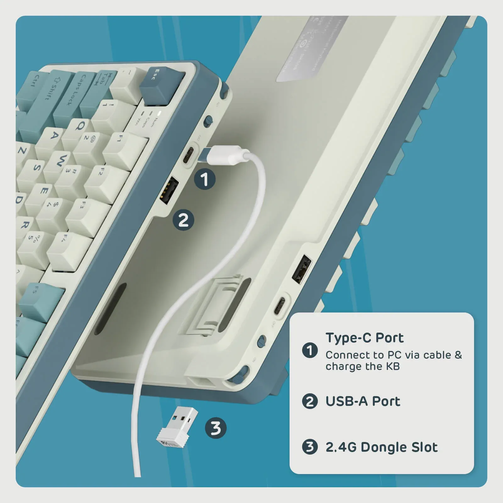 RK ROYAL KLUDGE S98 Mechanical Keyboard Blackberry Blue Switch overview 18