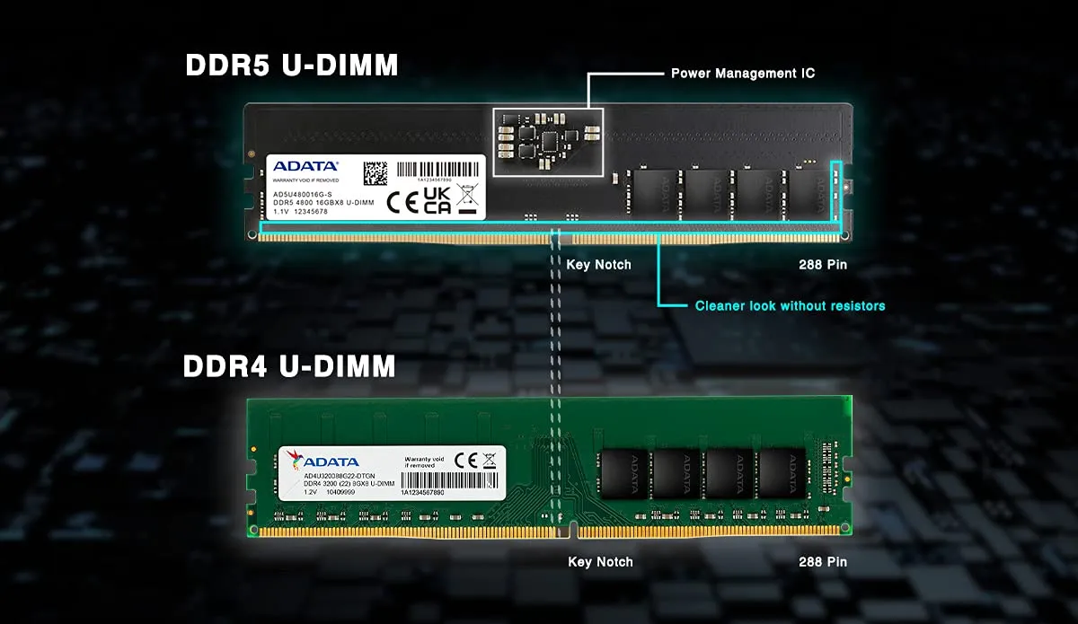 Adata Premier 8GB (8GBx1) DDR5 4800MHz RAM overview 1