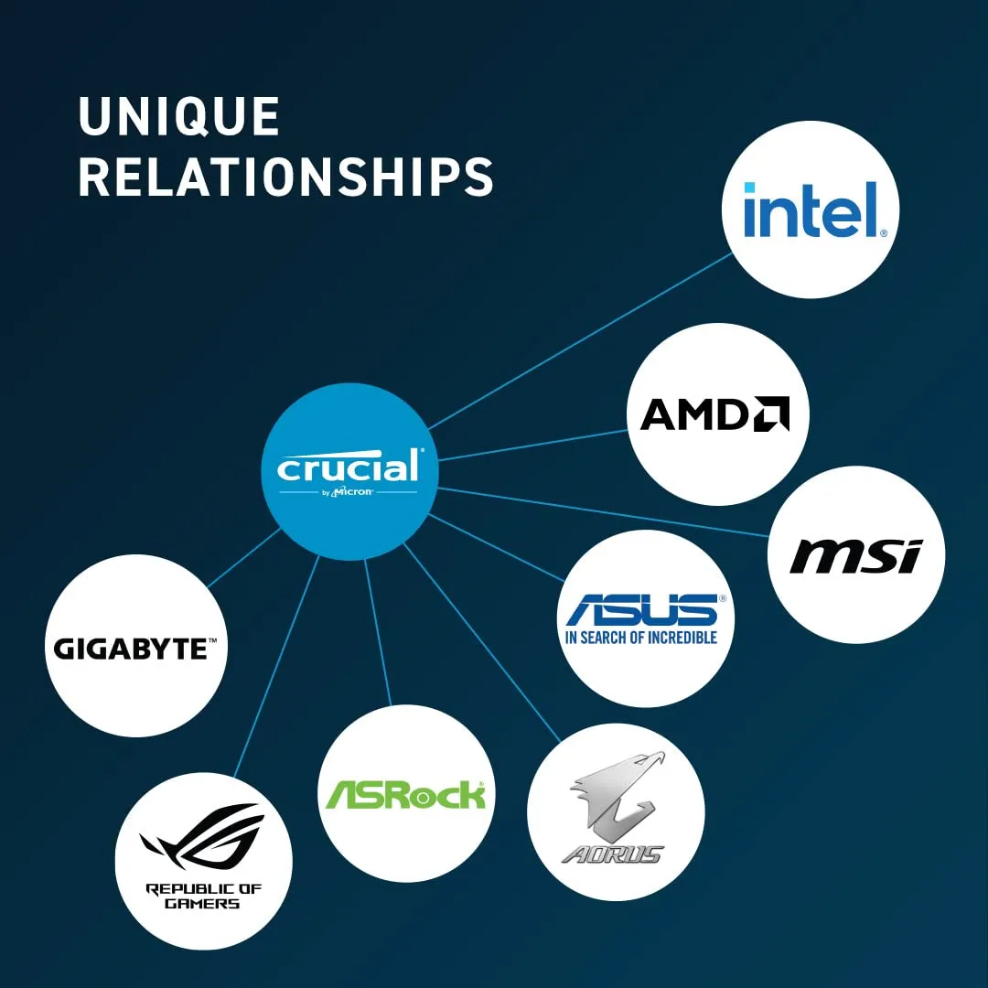 Crucial 16GB (16GBx1) DDR5 5600MHz CL46 Desktop RAM overview 3