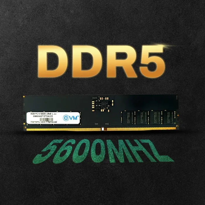 EVM 8GB DDR5 5600MHz Desktop RAM overview 1