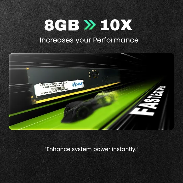 EVM 8GB DDR5 5600MHz Desktop RAM overview 2