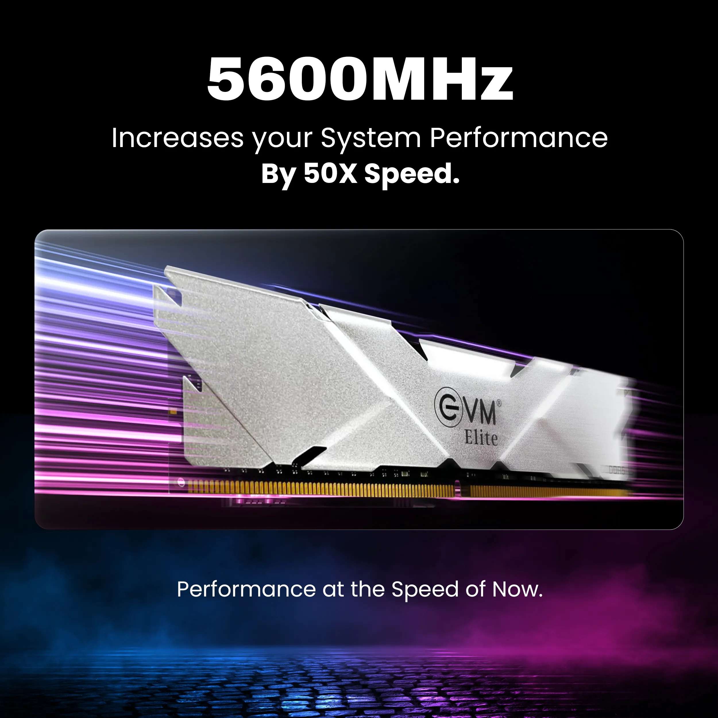 EVM ELITE GAMING RAM 32GB DDR5 5600 MHz Desktop overview 2