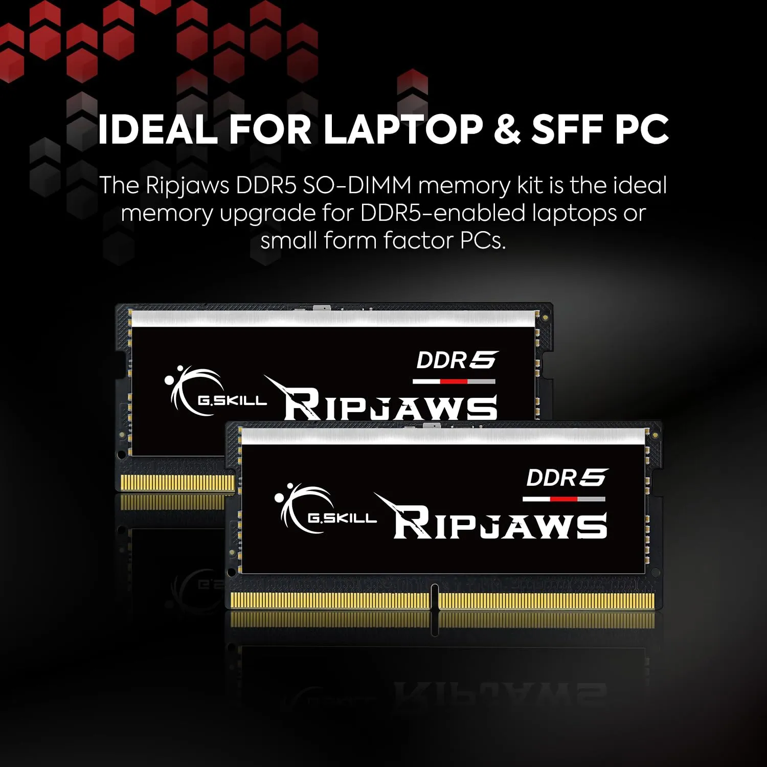 G.Skill Ripjaws 16GB (1x16GB) DDR5 5600 MHz Laptop Memory (F5-5600S4645A16GX1-RS) overview 2