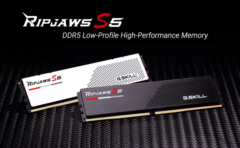 G.Skill Ripjaws S5 16GB (16GBx1) 5200Mhz DDR5 CL40 Desktop Memory overview 2
