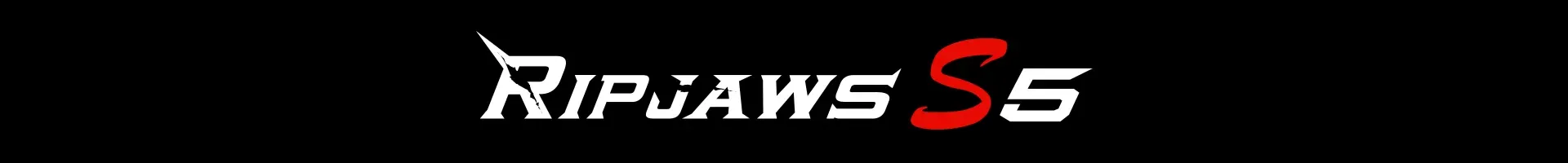 G.Skill Ripjaws S5 64GB (32GBx2) DDR5 5600MHz Desktop RAM overview 1