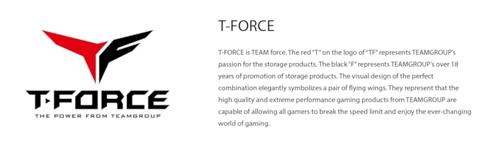 TeamGroup T-Force Vulcan Z 8GB (8GBx1) DDR4 3200MHz Red Desktop RAM overview 5