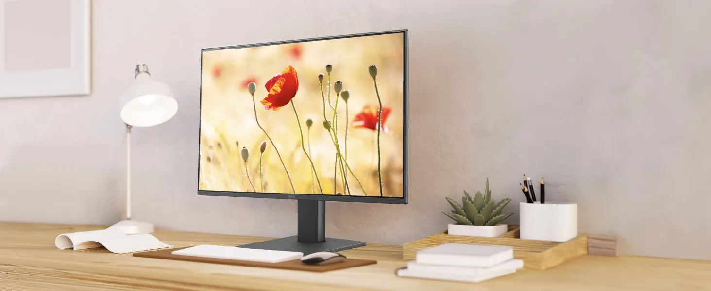 BenQ GW2491 23.8” 1920x1080 FHD 100Hz IPS Eye-Care 99% sRGB Monitor (Black) overview 2