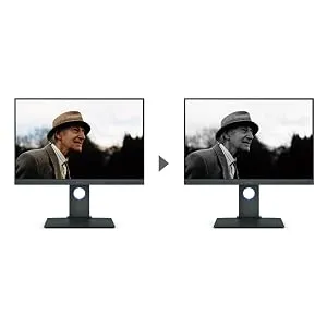 BenQ SW240 24.1 Inch (61.4 cm) Monitor overview 3