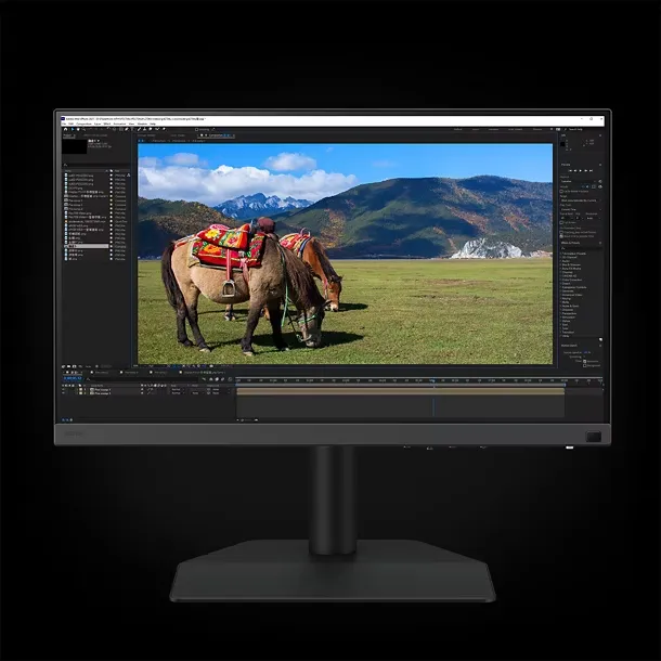 BenQ SW242Q 24 Inch Professional Monitor (Black) overview 5