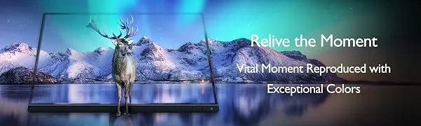 BenQ SW321C Photo And Video Editing Monitor overview 1