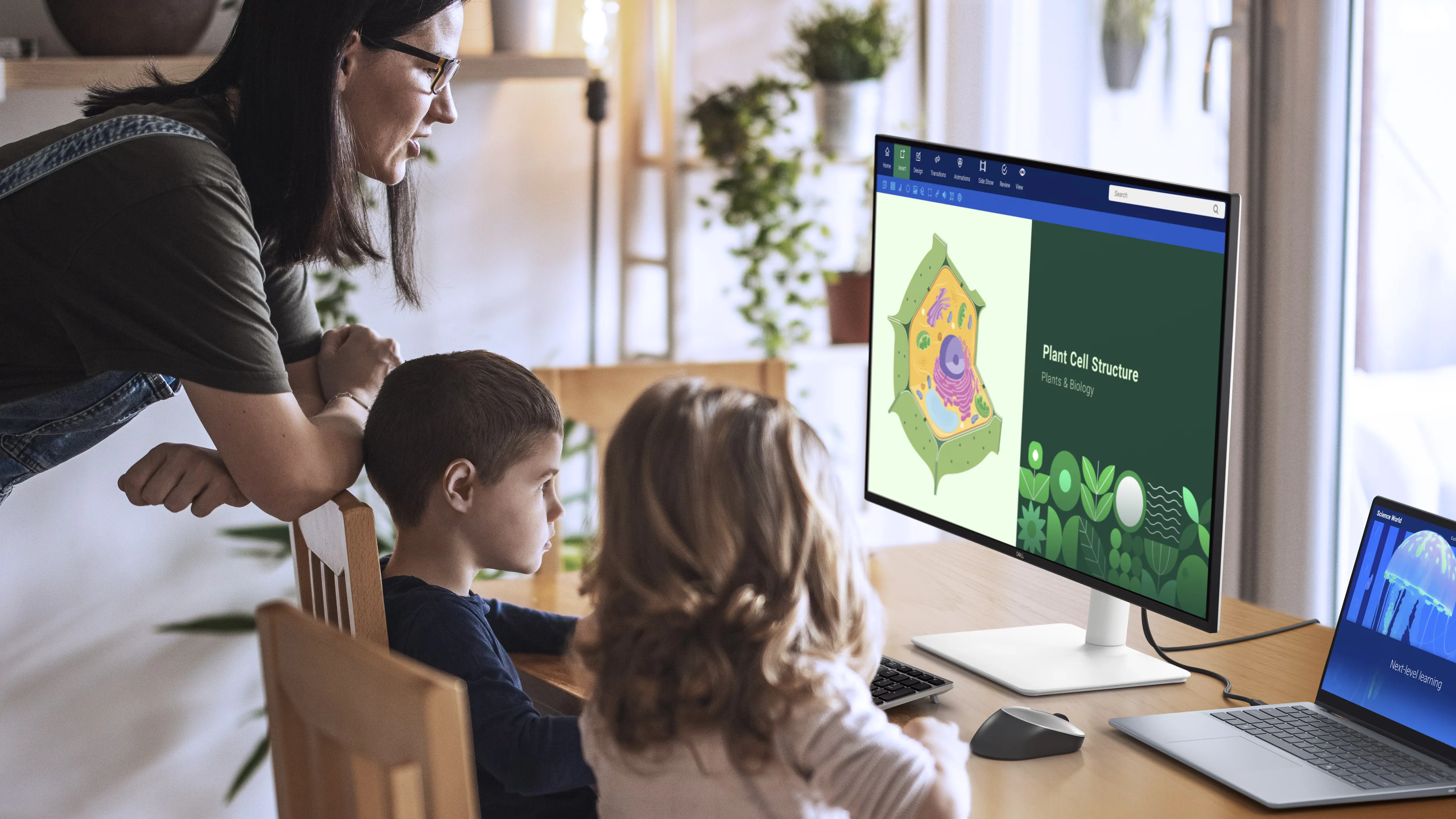 Dell 32 Plus 4K Monitor - S3225QS overview 1