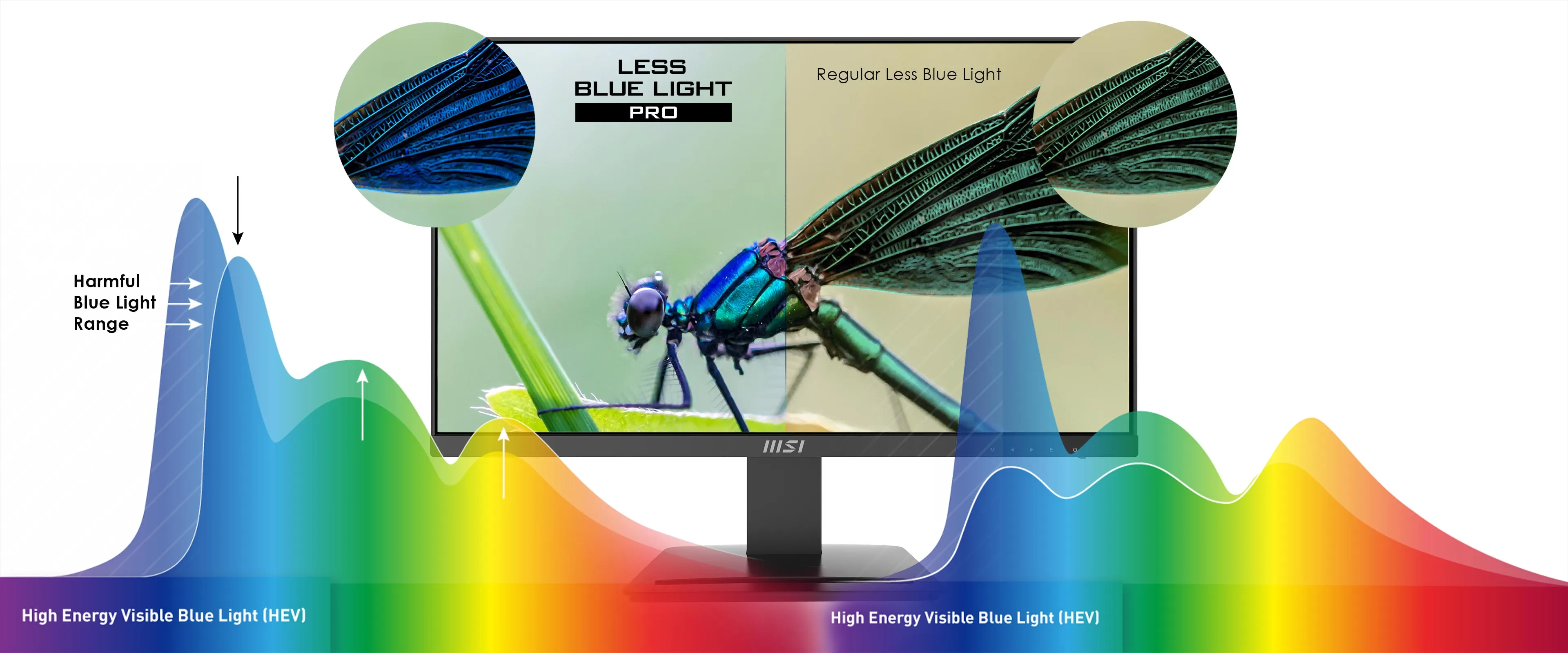 MSI PRO MP243 24 Inch Professional Monitor overview 1