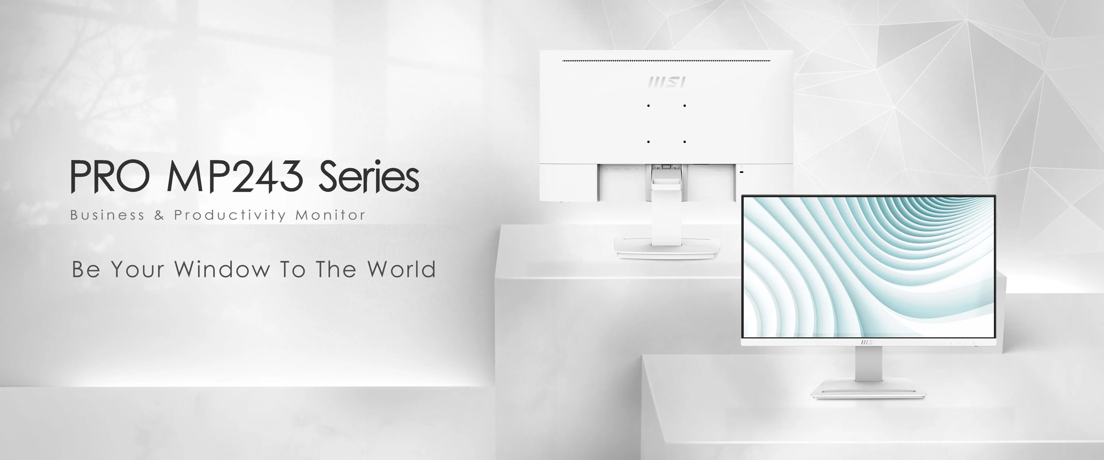 MSI PRO MP243W 24 Inch 100% SRGB Professional Monitor overview 1