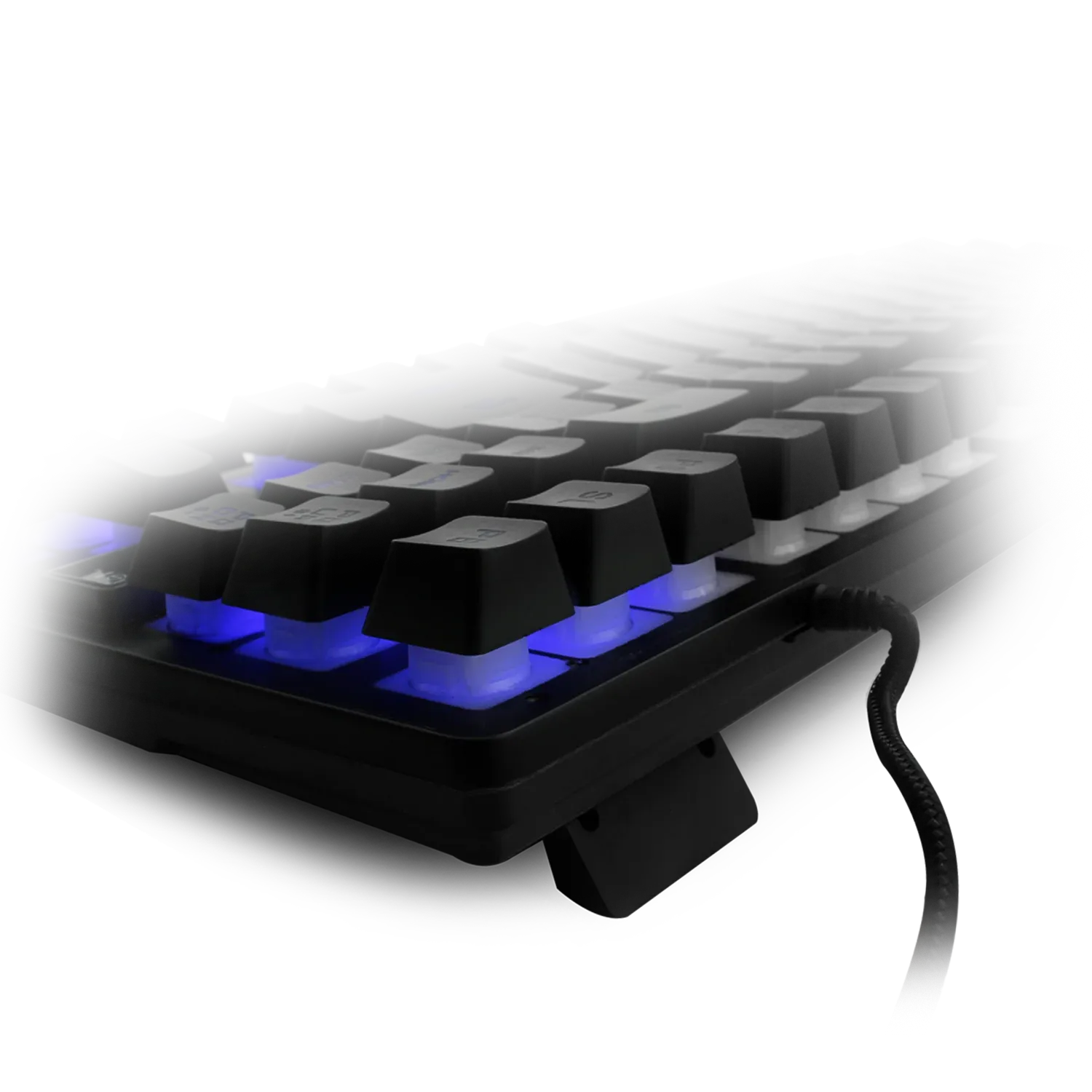 Amkette Evofox X Team Gaming Keybaord And Mouse (Black) overview 5