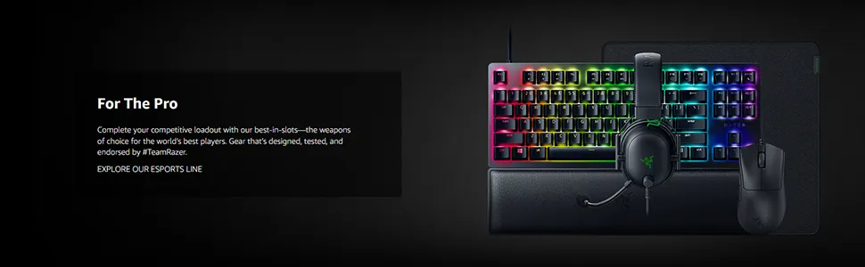 Razer DeathAdder V3 Ultra Light weight Ergonomic Esports Gaming Mouse overview 3