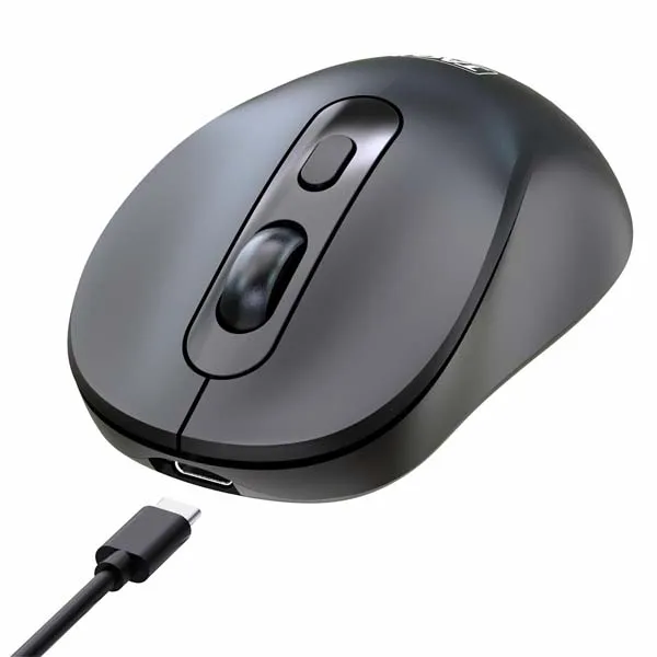 TAG WM900 Dual Mode Wireless Mouse (Black)