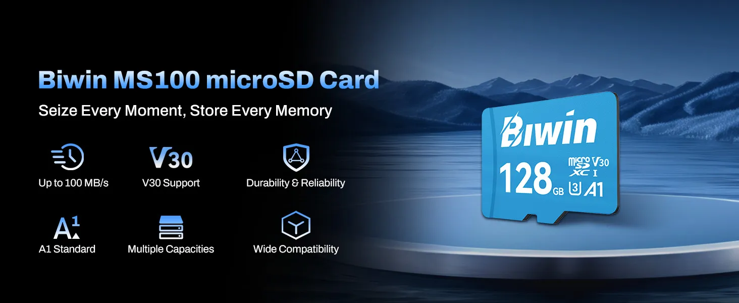 Biwin MS100 128 GB microSD Card overview 1