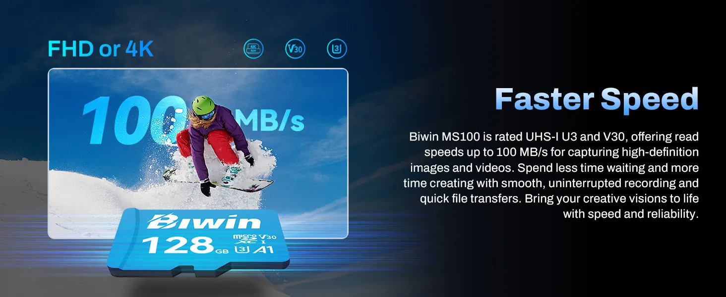 Biwin MS100 128 GB microSD Card overview 2