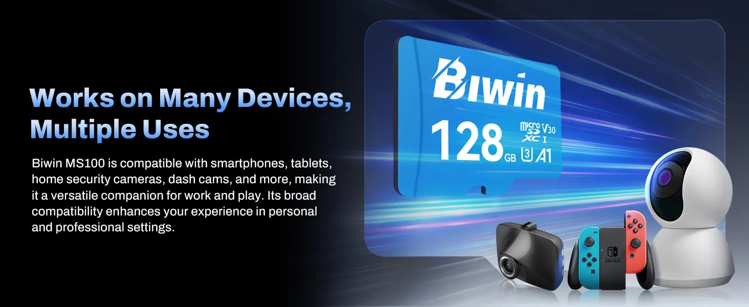 Biwin MS100 128 GB microSD Card overview 3