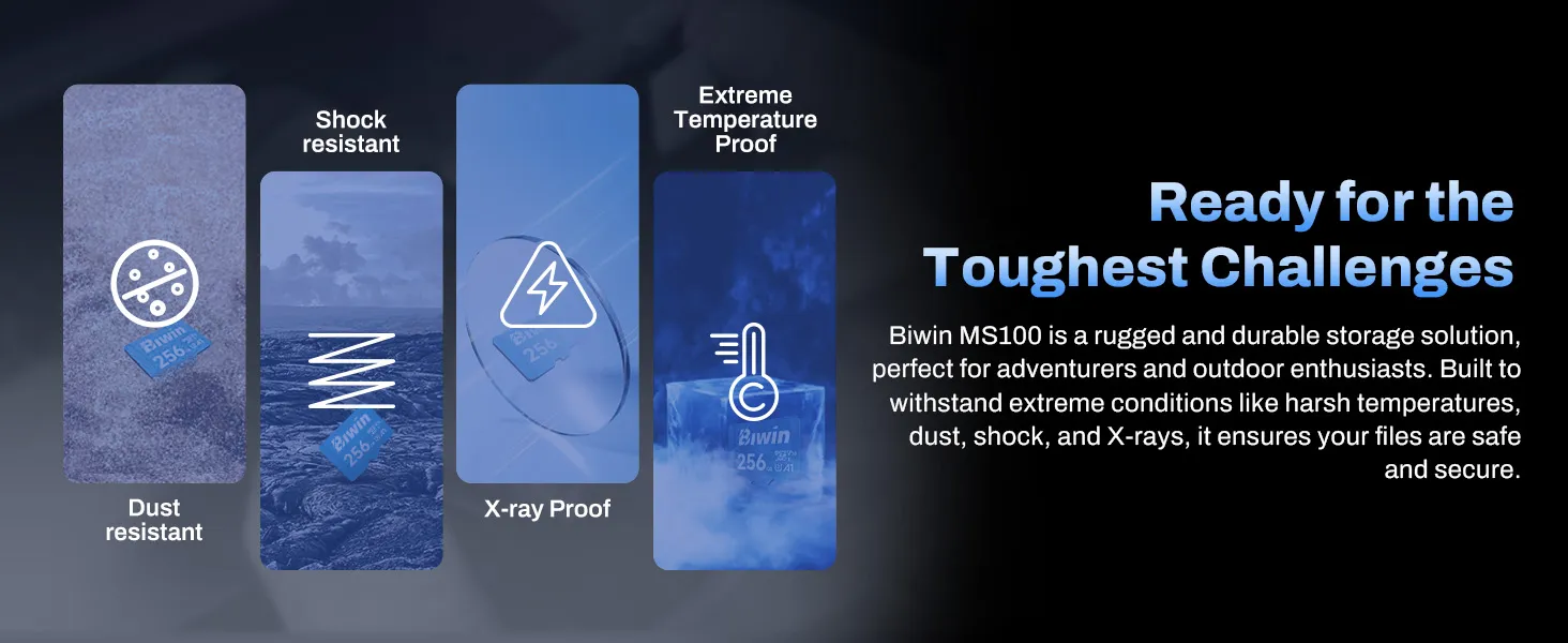 Biwin MS100 128 GB microSD Card overview 4
