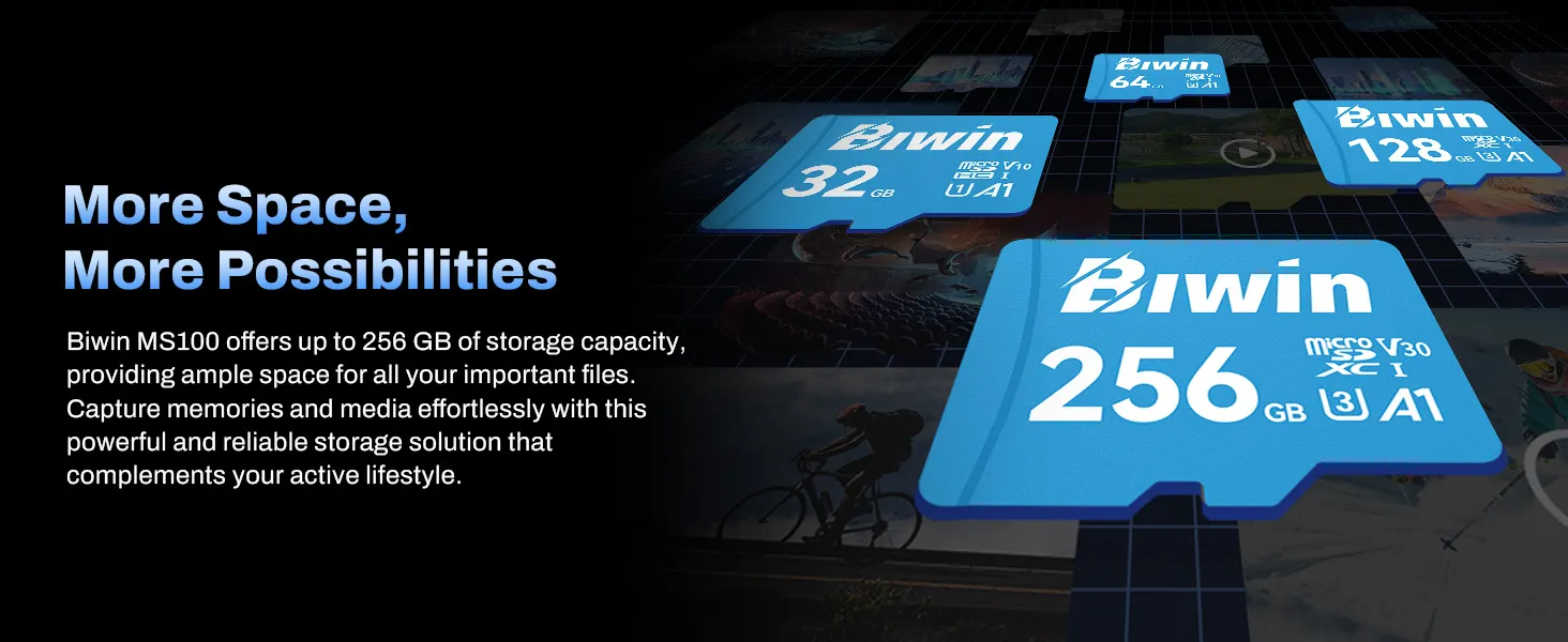 Biwin MS100 128 GB microSD Card overview 5